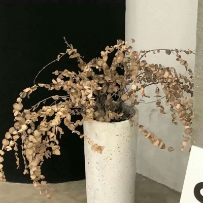 麒麟FurryQQ群介绍